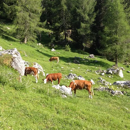 Tre Valli 5 Appartamento
